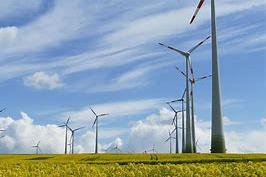 能源分会建材在线查询系统 “能源行业材料和设备价格仓库”6月份共建数量 统计结果公布